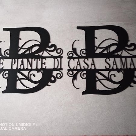 Le Piante Di Casa Samar Bed & Breakfast Castelguelfo Eksteriør bilde