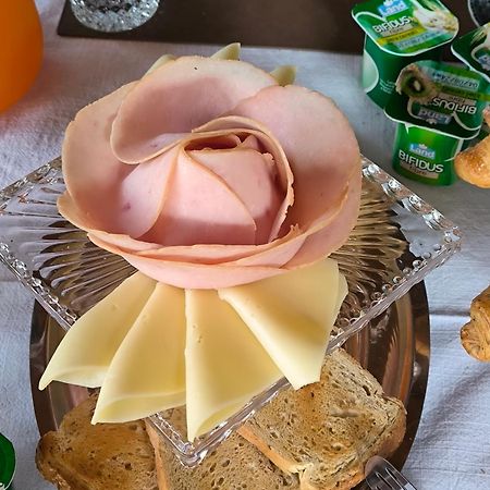 Le Piante Di Casa Samar Bed & Breakfast Castelguelfo Eksteriør bilde