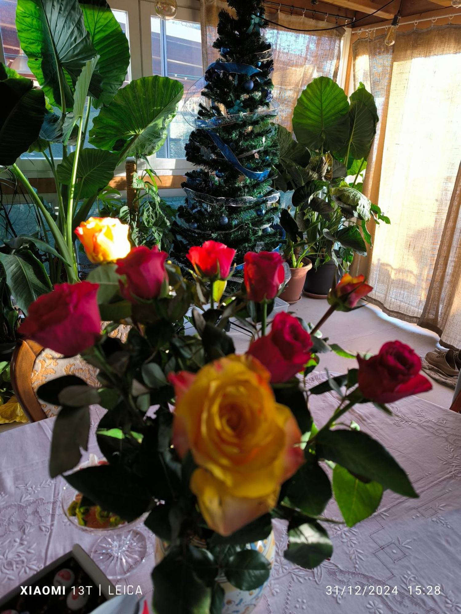 Le Piante Di Casa Samar Bed & Breakfast Castelguelfo Eksteriør bilde